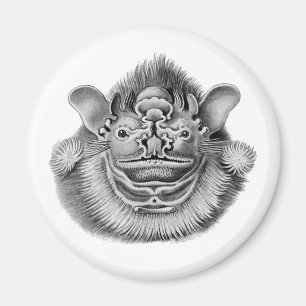 Wrinkle-faced Bat Magnet