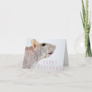 Wrinkled Rat Birthday Card
