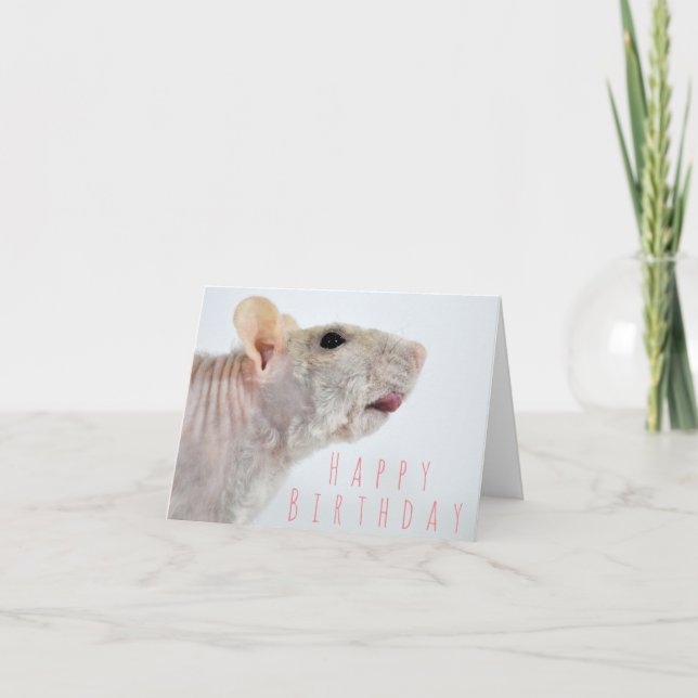 Wrinkled Rat Birthday Card (Front)