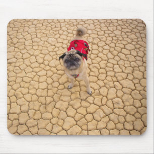"Wrinkles on Cracks" Funny Adventure Pug Mouse Pad