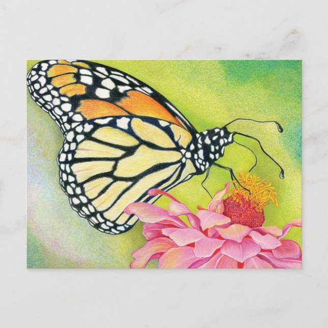 Write postcards to Democrats -Butterfly Brigade (Front)