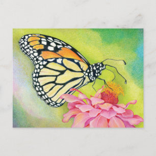 Write postcards to Democrats -Butterfly Brigade