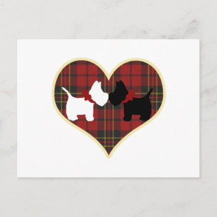 WS POSTCARD