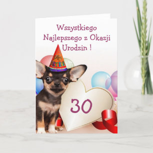 Wszystkiego Najlepszego Birthday Chihuahua card