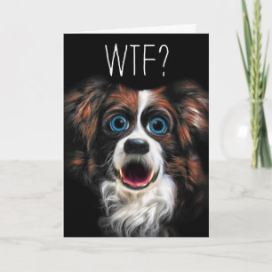 WTF? Belated Birthday with Funny Border Collie Dog Card