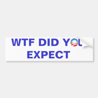 WTF DID YOU EXPECT BUMPER STICKER