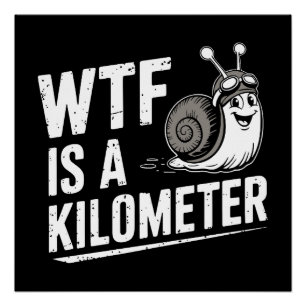 WTF Is a Kilometre Poster