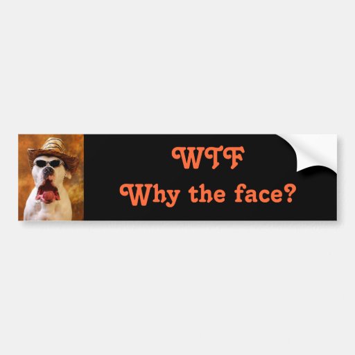 WTF Why the face? Bumper Sticker | Zazzle