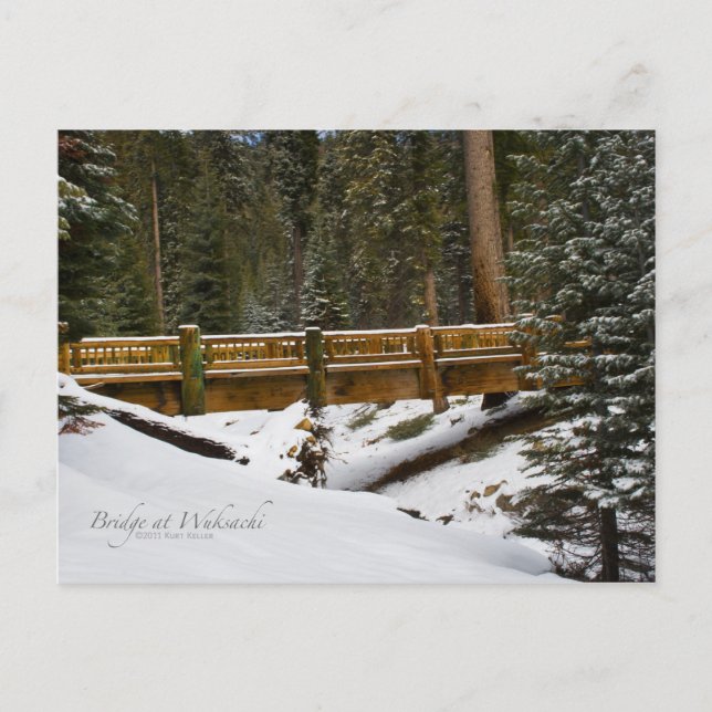 Wuksachi Bridge Postcard (Front)