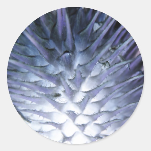 Wuld Grass Ice Princess Sticker (Front)