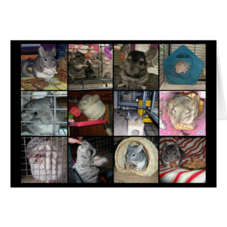 Wunderchins 2012 card