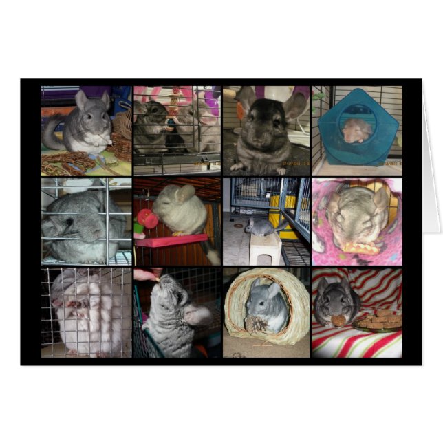 Wunderchins 2012 card (Front Horizontal)