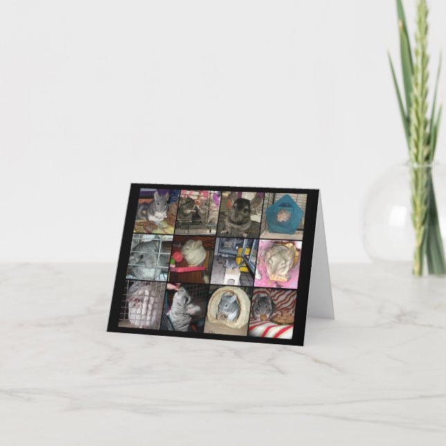 Wunderchins 2012 notecards (Front)