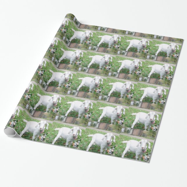 WV Scenic Wrapping Paper Photo 5 (Unrolled)