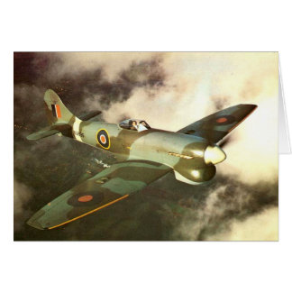 WW2 Historic Wartime Aircraft in Flight