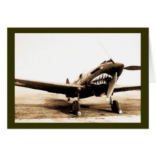 WWII Flying Tigers Curtiss P-40 Fighter Plane