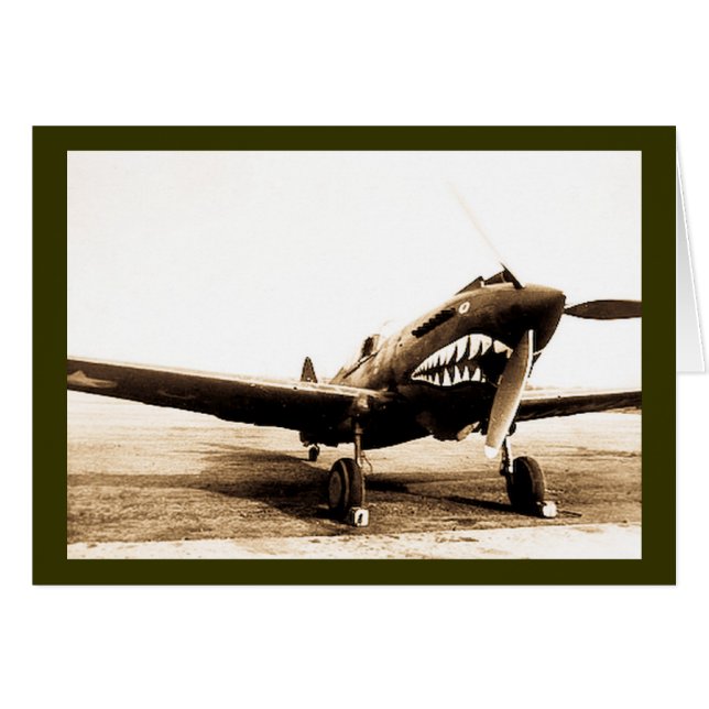WWII Flying Tigers Curtiss P-40 Fighter Plane (Front Horizontal)