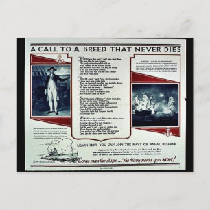 Wwii Navy Recruit2 Postcard