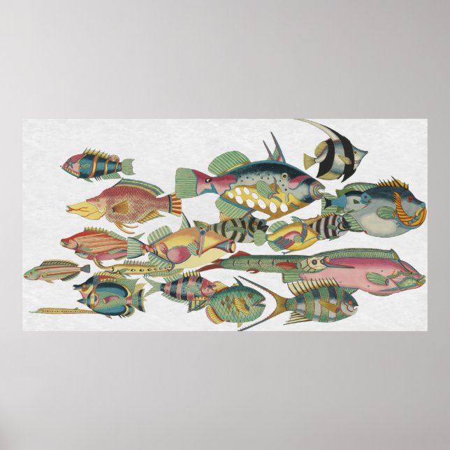 WWW FISH POSTER (Front)