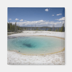 WY, Yellowstone National Park, West Thumb Geyser Magnet