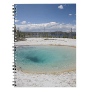 WY, Yellowstone National Park, West Thumb Geyser Notebook