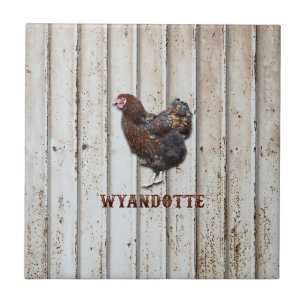 Wyandotte Chicken Ceramic Tile