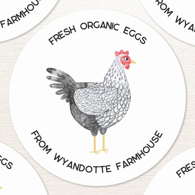Wyandotte Chicken Fresh Organic Eggs Farm Classic Round Sticker (Fresh Organic Eggs custom text farm stickers featuring a watercolor painting of a Wyandotte chicken )