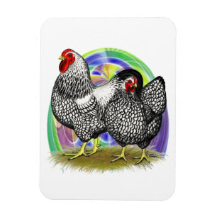 Wyandotte: Easter Egg Pair Magnet