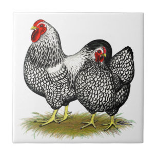 Wyandotte:  Silver Pair Ceramic Tile