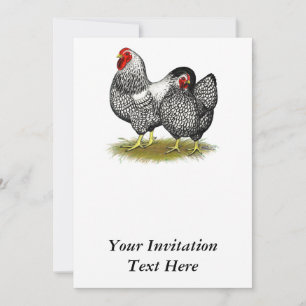 Wyandotte:  Silver Pair Invitation