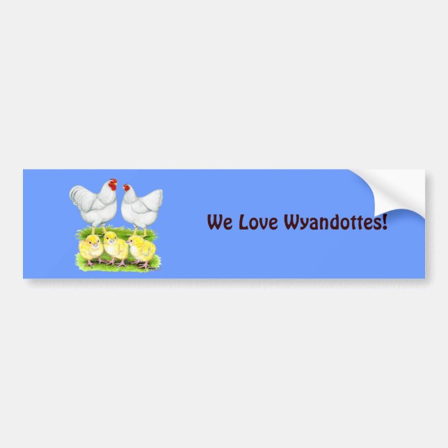 Wyandotte White Chicken Family Bumper Sticker (Front)