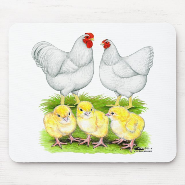 Wyandotte White Chicken Family Mouse Pad (Front)