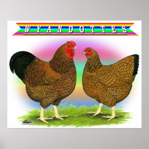 Wyandottes:  Golden-laced Rainbow Poster