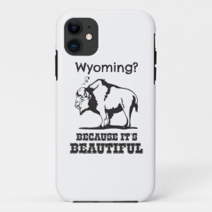 Wyoming? Because It's Beautiful iPhone 11 Case