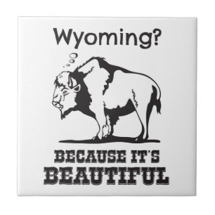 Wyoming? Because It's Beautiful Ceramic Tile