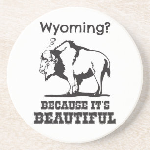 Wyoming? Because It's Beautiful Coaster