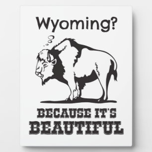 Wyoming? Because It's Beautiful Plaque