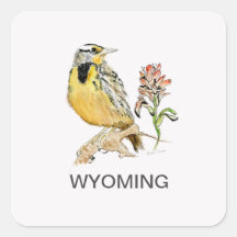Wyoming bird flower