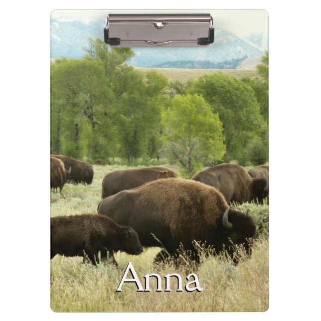 Wyoming Bison Clipboard (Front)