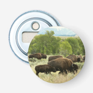 Wyoming Bison Nature Animal Photography Bottle Opener