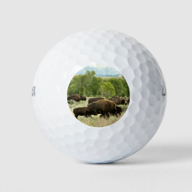 Wyoming Bison Nature Animal Photography Golf Balls (Front)