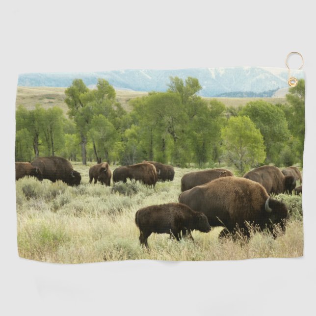 Wyoming Bison Nature Animal Photography Golf Towel (Horizontal)