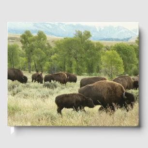 Wyoming Bison Nature Animal Photography Guest Book