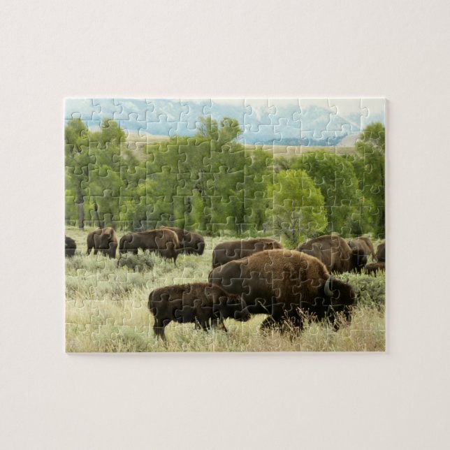 Wyoming Bison Nature Animal Photography Jigsaw Puzzle (Horizontal)