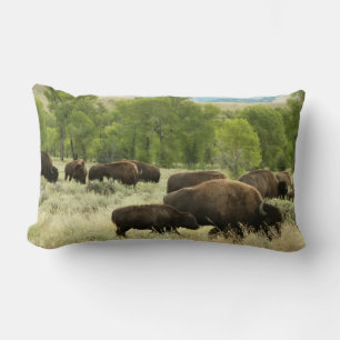 Wyoming Bison Nature Animal Photography Lumbar Cushion