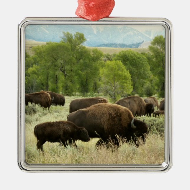 Wyoming Bison Nature Animal Photography Metal Tree Decoration (Front)