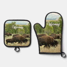 Wyoming Bison Nature Animal Photography