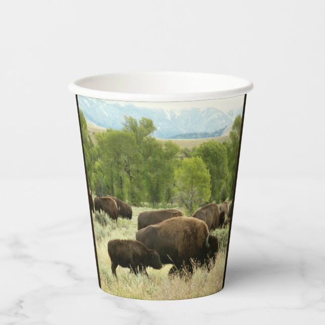 Wyoming Bison Nature Animal Photography Paper Cups (Front)