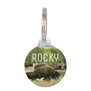 Wyoming Bison Nature Animal Photography Pet Tag