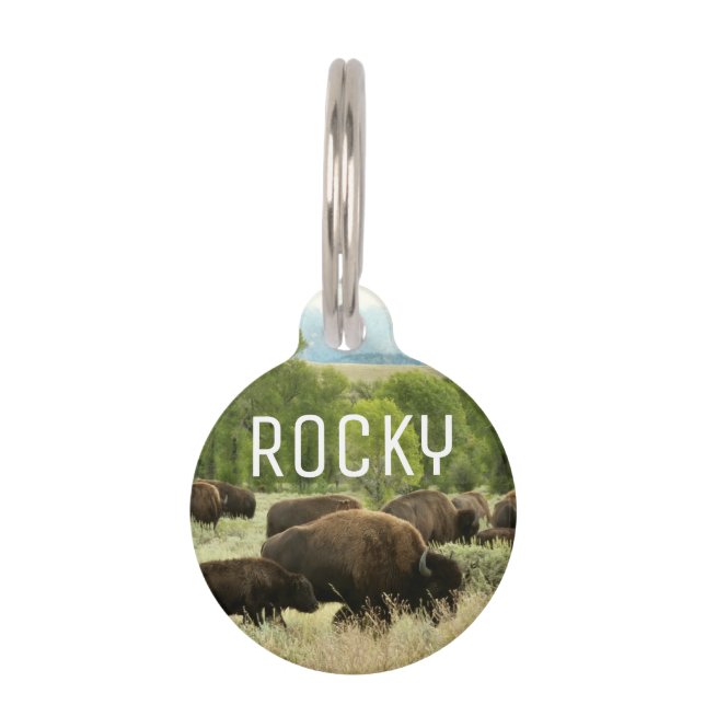 Wyoming Bison Nature Animal Photography Pet Tag (Front)